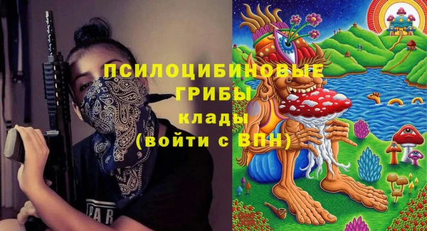 спайс Богданович